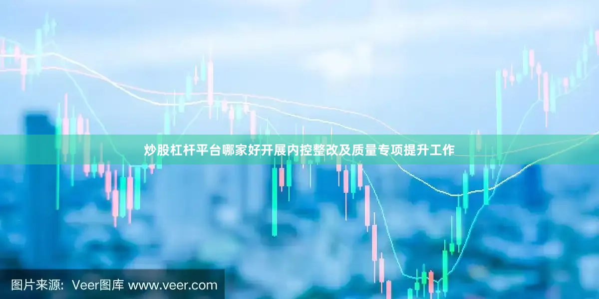 炒股杠杆平台哪家好开展内控整改及质量专项提升工作
