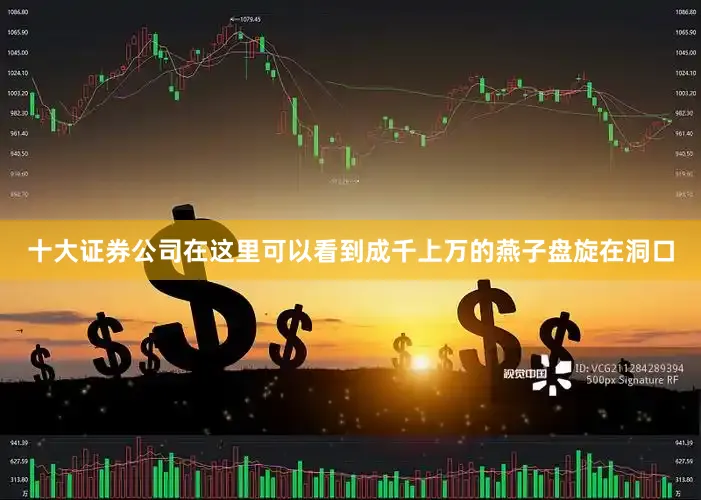 十大证券公司在这里可以看到成千上万的燕子盘旋在洞口